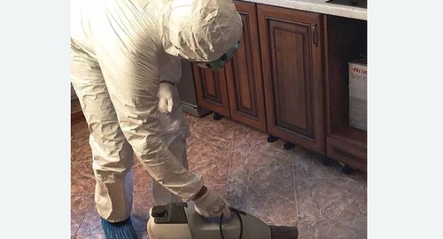 Уничтожение тараканов в квартире. САО Москвы